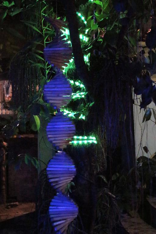 Blue Bamboo Hotel Balabag  Esterno foto
